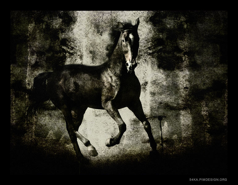 Horses_III_by_54ka.jpg